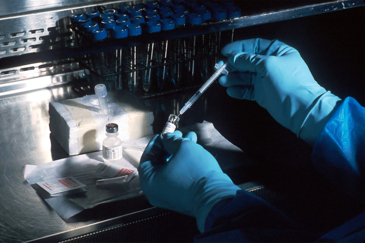 Researchers at work in a laboratory